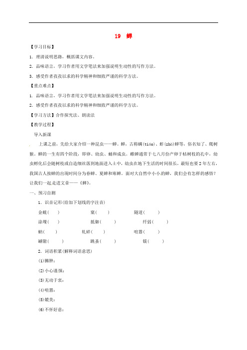 八年级语文上册第5单元19蝉 精品导学案 新人教版8