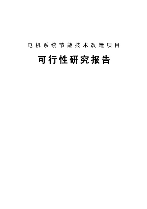 电机系统节能技术改造项目可行性研究报告 (2)