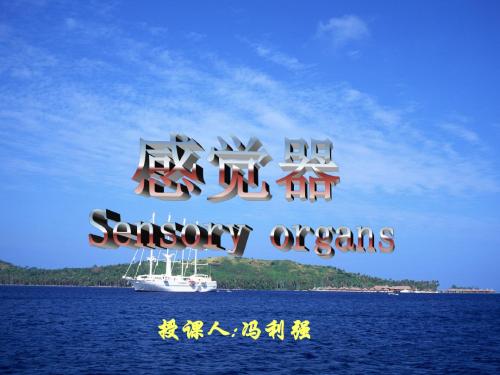 16视器前庭蜗器 共76页