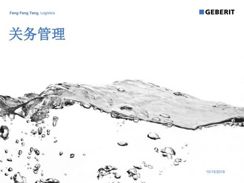 21_关务管理课件