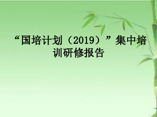 “国培计划”集中培训研修报告PPT