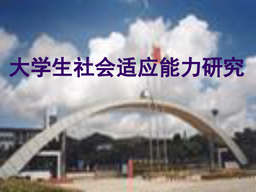 大学生社会适应能力研究PPT课件