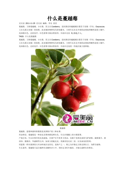 什么是蔓越莓？