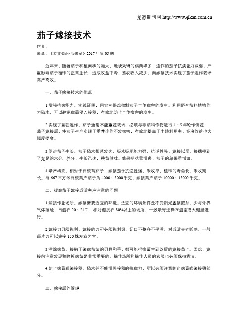 茄子嫁接技术