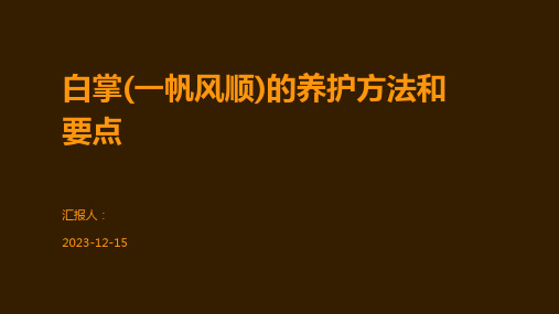 白掌(一帆风顺)的养护方法和要点