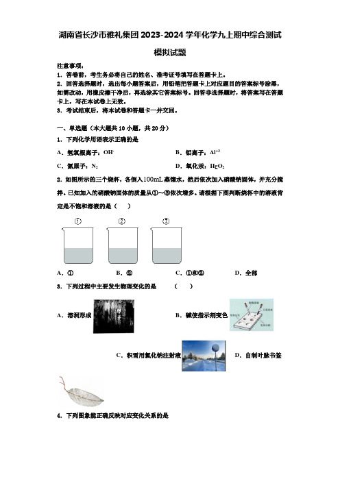 湖南省长沙市雅礼集团2023-2024学年化学九上期中综合测试模拟试题含解析