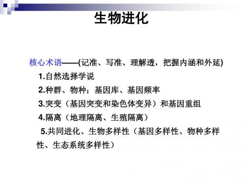 5.2生物进化和生物多样性课件(苏教版必修2)