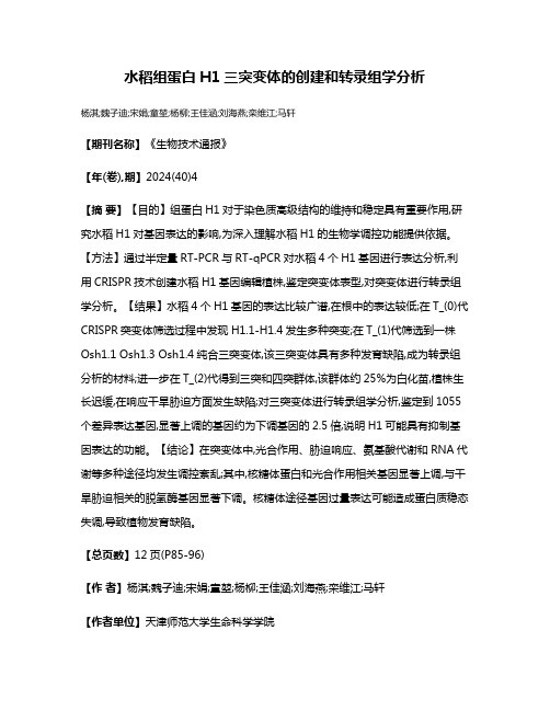 水稻组蛋白H1三突变体的创建和转录组学分析