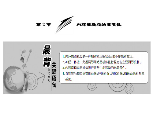 生物必修Ⅲ人教新课标1-2内环境稳态重要性课件(39张)