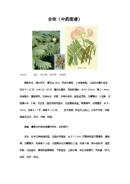 中药图谱