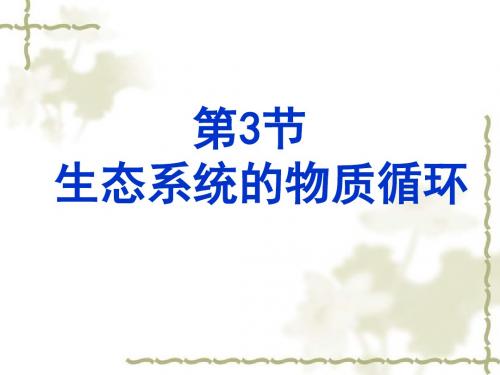 第3节生态系统的物质循环