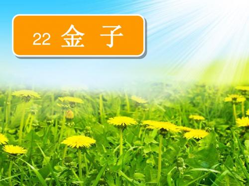 苏教版三上《金子》ppt(1)