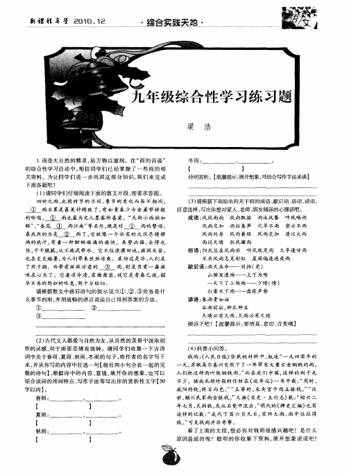 九年级综合性学习练习题