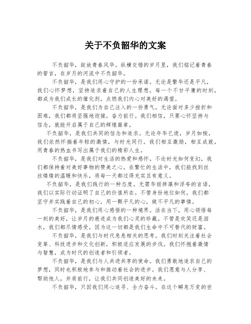 关于不负韶华的文案