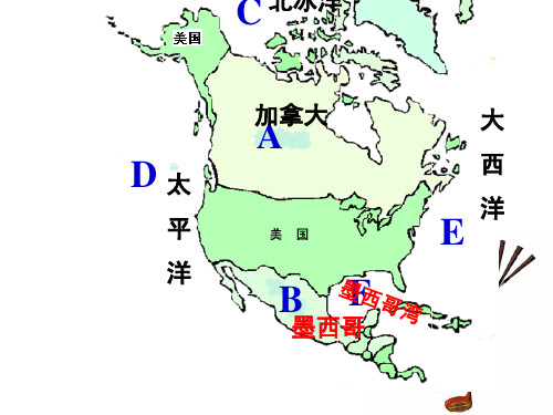 七年级地理下册人教版《美国 》第二课时课件