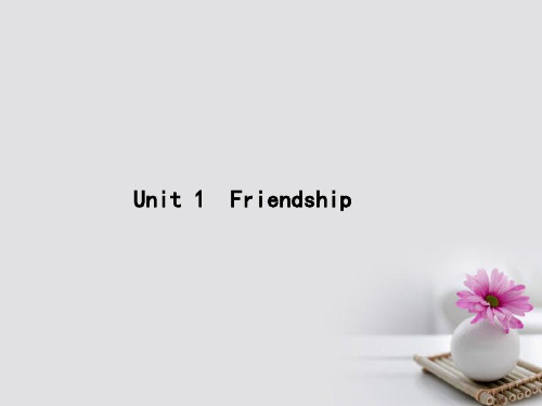 高考英语一轮复习 Unit 1 Friendship课件 新人教版必修1
