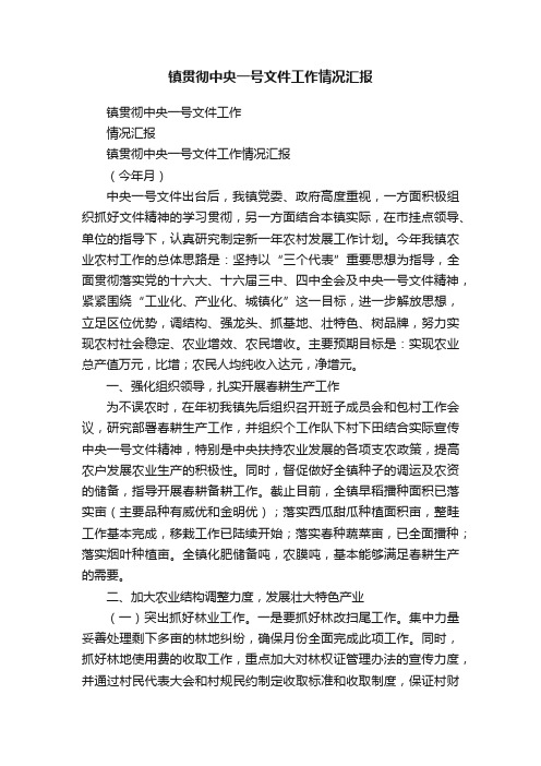 镇贯彻中央一号文件工作情况汇报