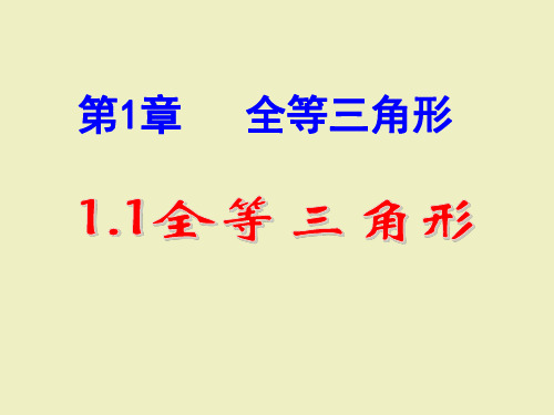 最新青岛版八年级数学上册全套PPT课件