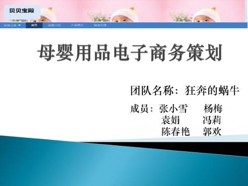 电子商务比赛ppt
