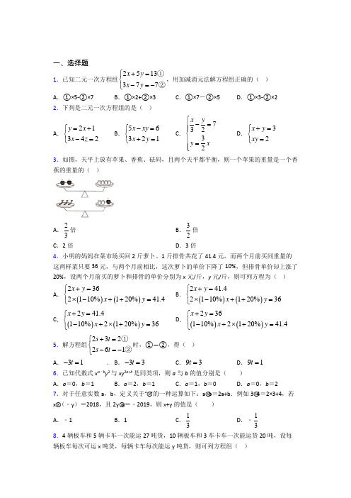 最新人教版初中数学七年级数学下册第四单元《二元一次方程组》检测(含答案解析)(1)