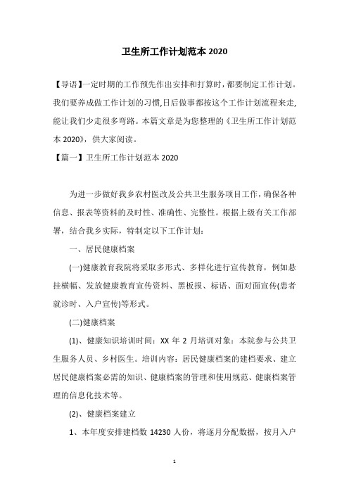 卫生所工作计划范本2020