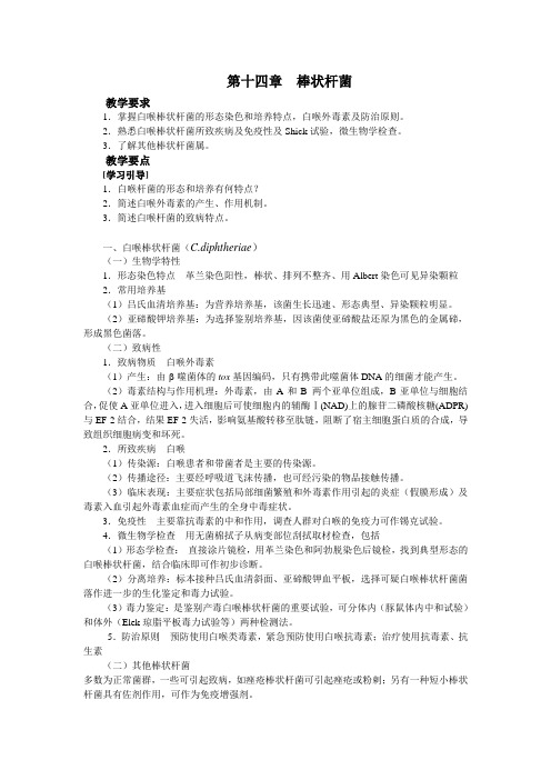 棒状杆菌