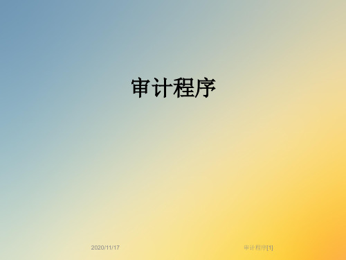 审计程序[1]