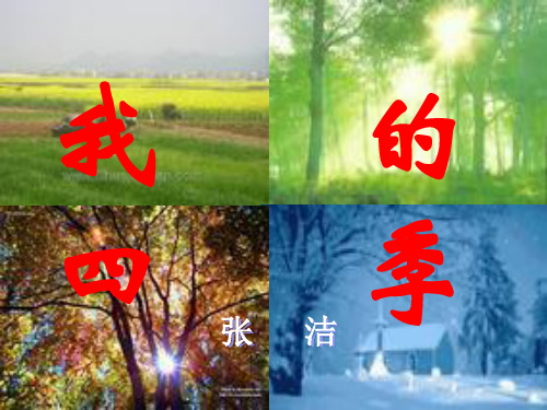 江苏省赣榆县海头高级中学语文课件 高中必修一第1专题 我的四