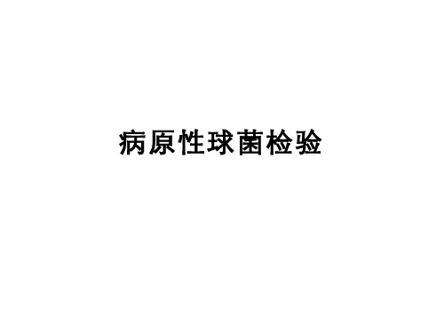171-教学课件-葡萄球菌属