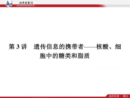 123遗传信息的携带者--核酸-PPT精品文档