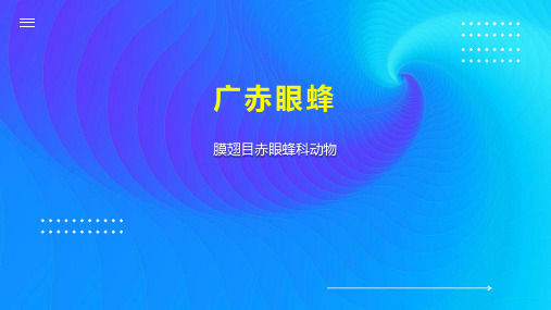广赤眼蜂    