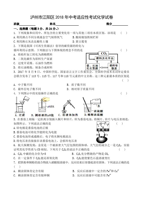四川省泸州市江阳区2018年中考适应性考试化学试卷(含答案)