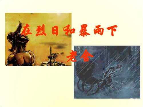 九年级语文上册《2.7 在烈日和暴雨下》课件 苏教版