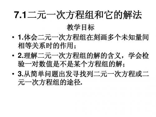7.1二元一次方程组