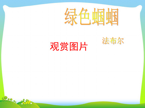 绿色蝈蝈_1-课件