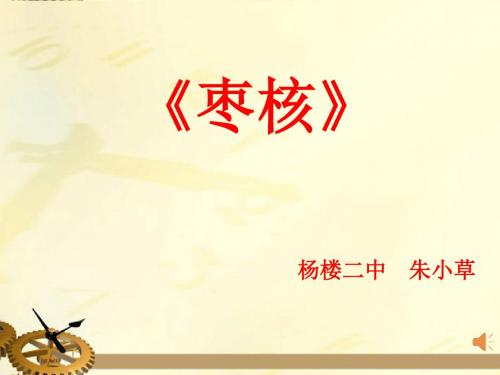 八年级语文上册《枣核》优秀教学课件-苏教版