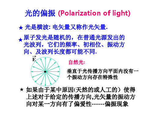光的偏振教学