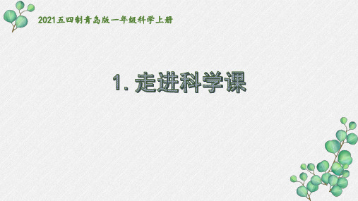 五四制青岛版一年级科学上册《走进科学课》课件