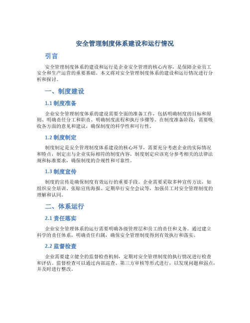 安全管理制度体系建设和运行情况