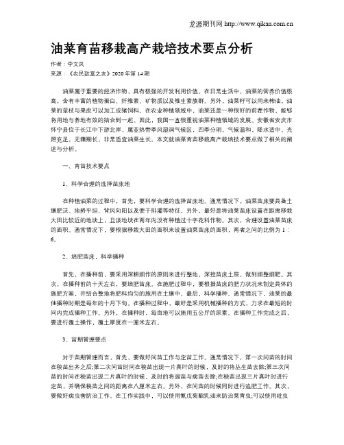 油菜育苗移栽高产栽培技术要点分析