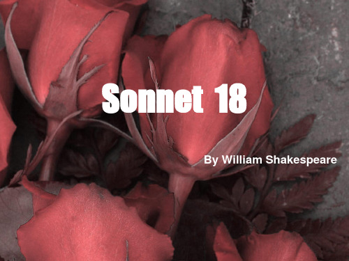Sonnet 18赏析