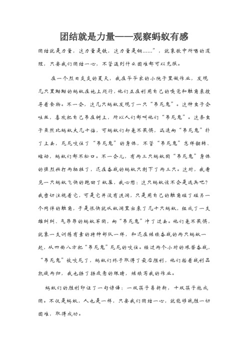 团结就是力量——观察蚂蚁有感