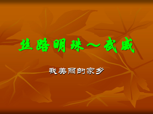 丝路明珠～武威