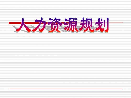 4人力资源规划4