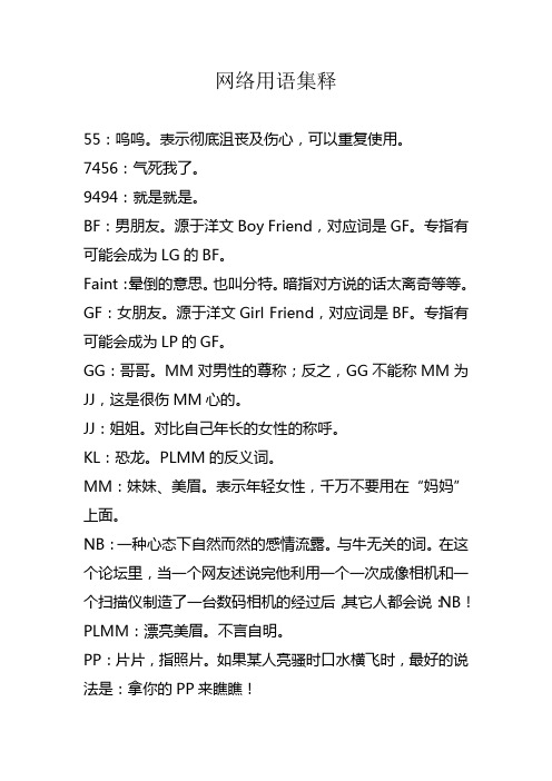 网络用语集释