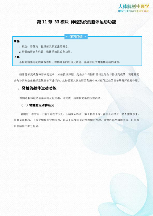 第11章33模块神经系统的躯体运动功能