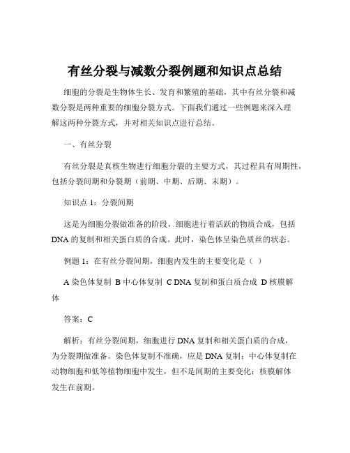 有丝分裂与减数分裂例题和知识点总结