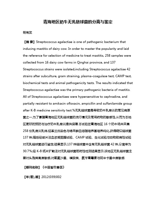 青海地区奶牛无乳链球菌的分离与鉴定