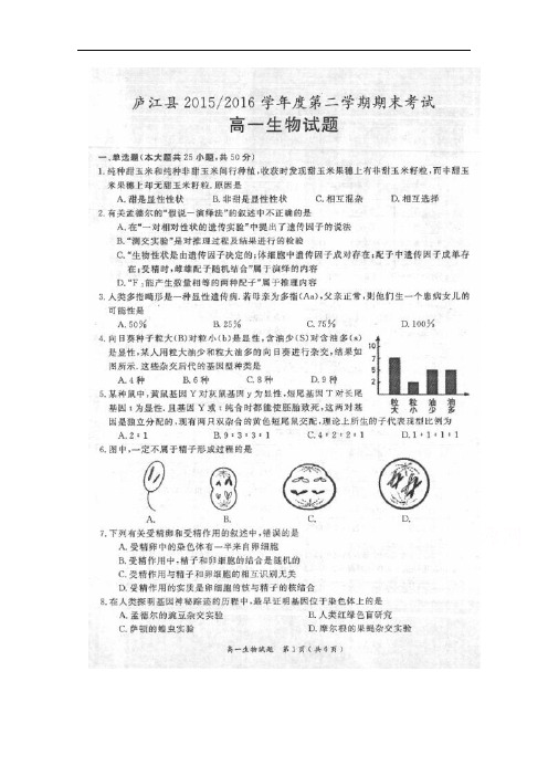 安徽省合肥市庐江县2015-2016学年高一下学期期末考试
