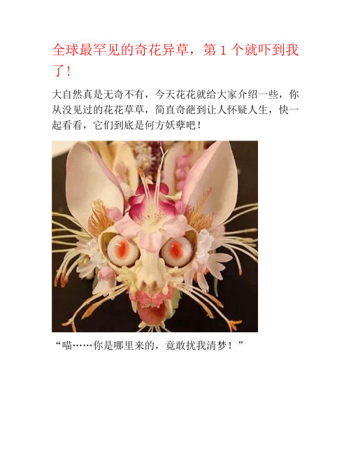 全球最罕见的奇花异草,第1个就吓到我了!